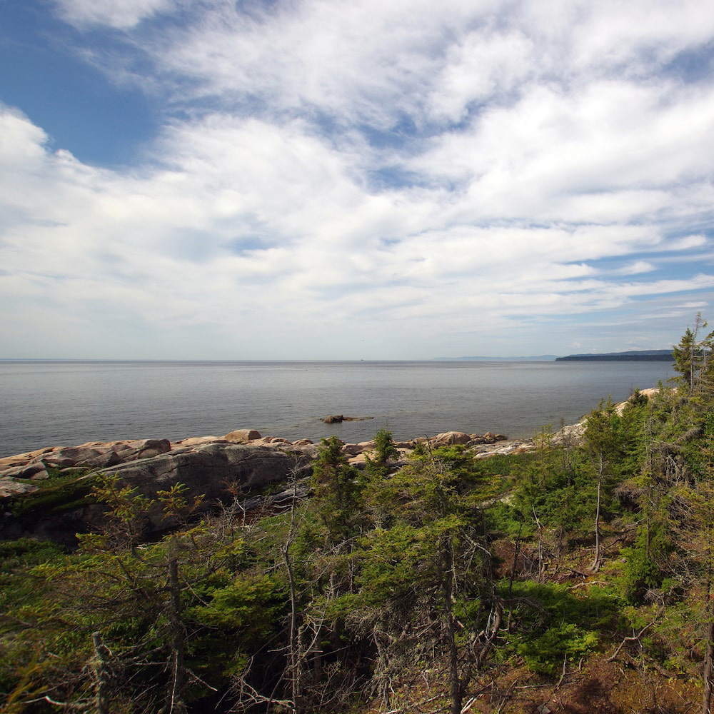 Free HTML5 Bootstrap Template by FreeHTML5.co